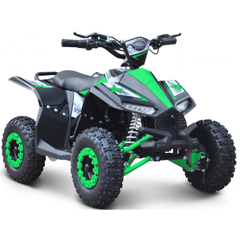 Renegade Kids Electric Quads